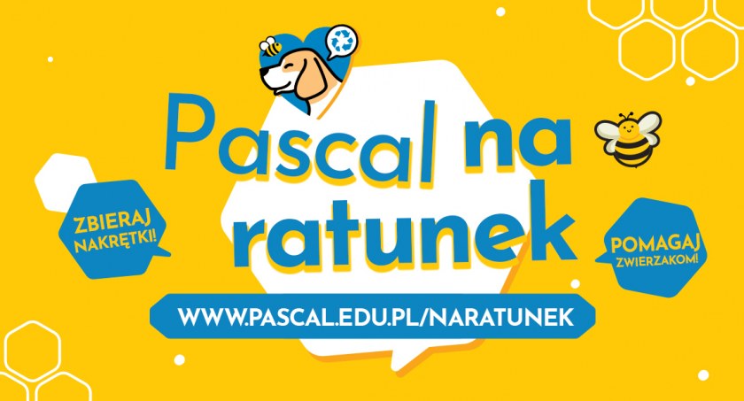 Zachęcamy do udziału w akcji