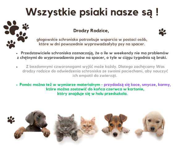 Zbiórka dla głogowskiego schroniska