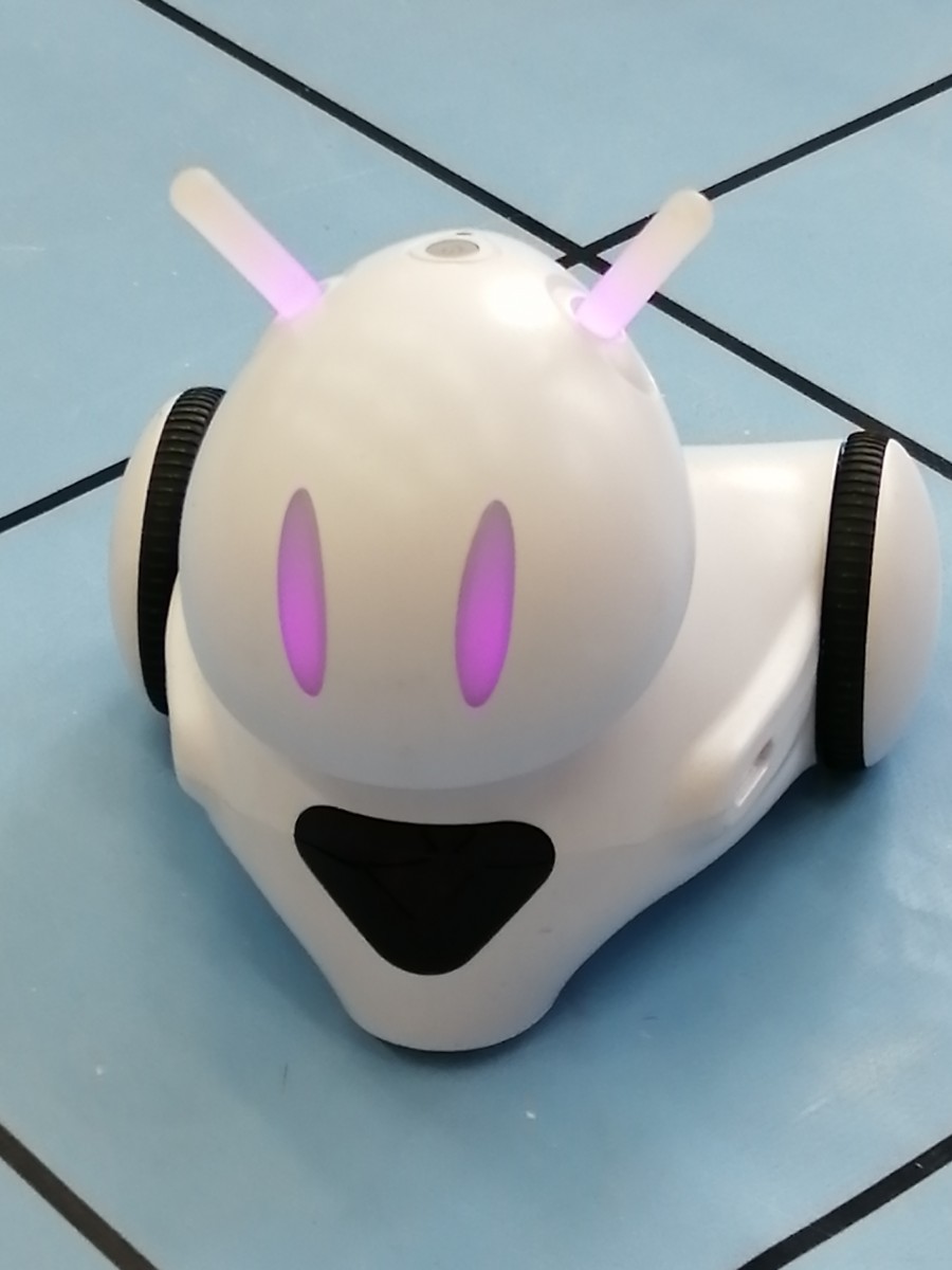 Warsztaty z robotyki.